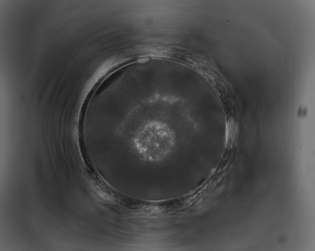 X0000102490195200808081337