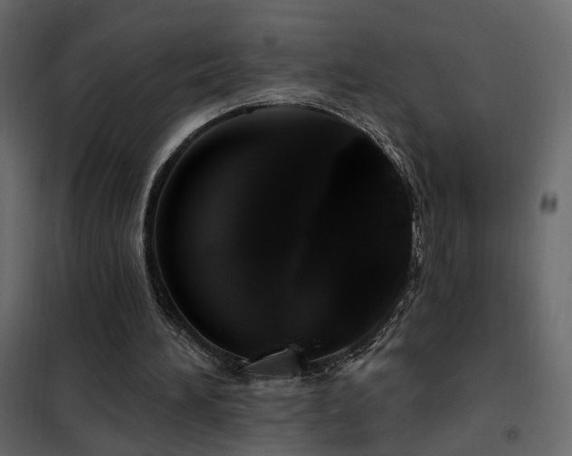 X0000102490196200808081337