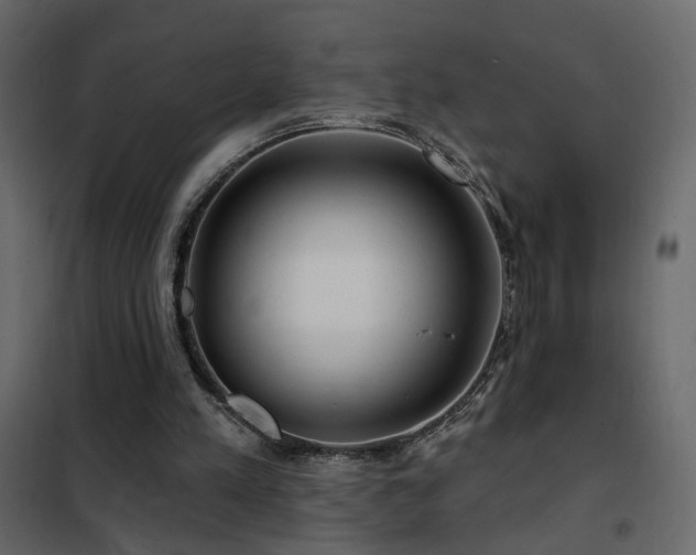 X0000102490197200808081337