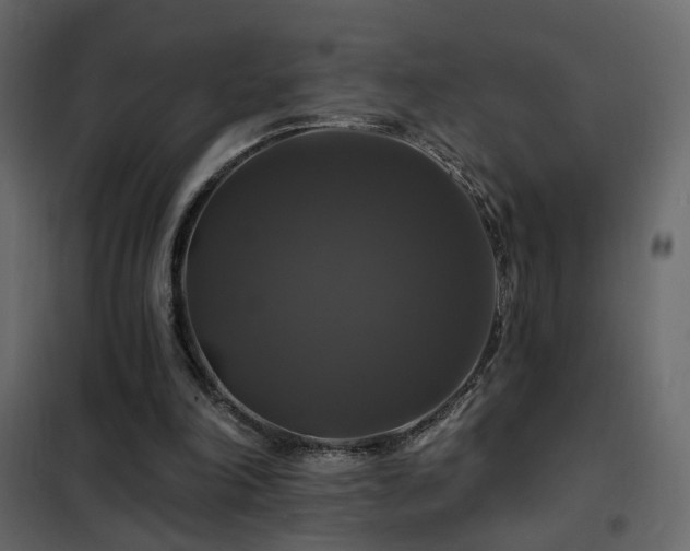 X0000102490198200808081336