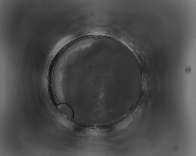 X0000102490199200808081336