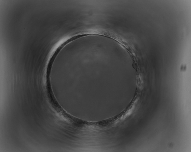 X0000102490200200808081336
