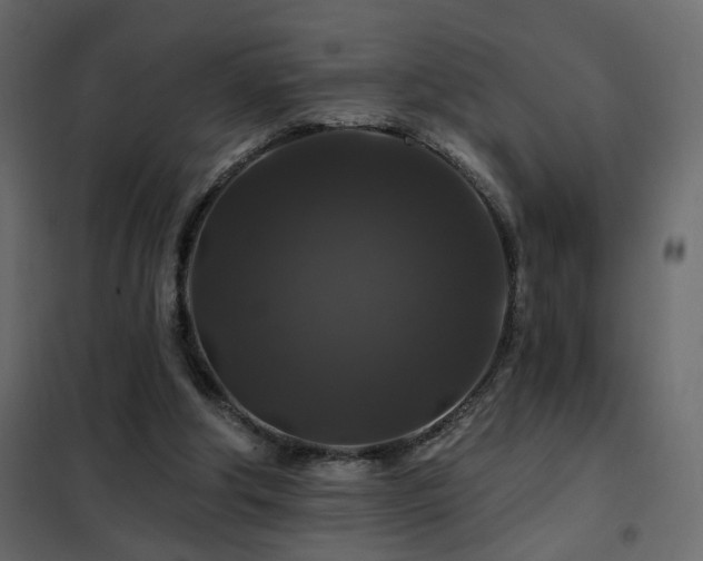 X0000102490202200808081336