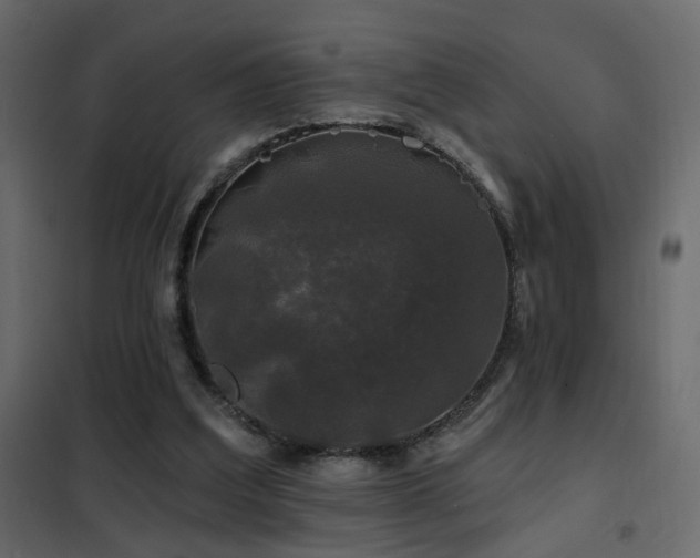 X0000102490203200808081336