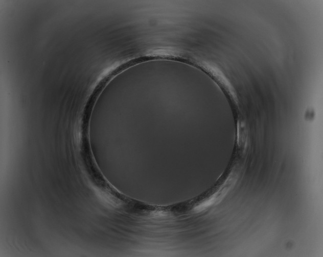 X0000102490204200808081336