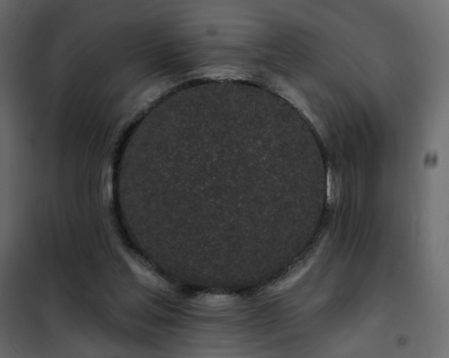 X0000102490205200808081336