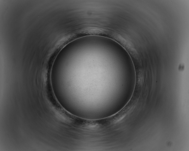 X0000102490206200808081336