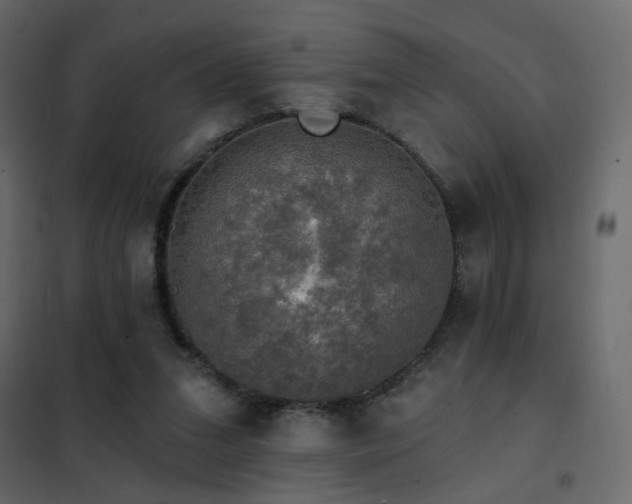 X0000102490207200808081336