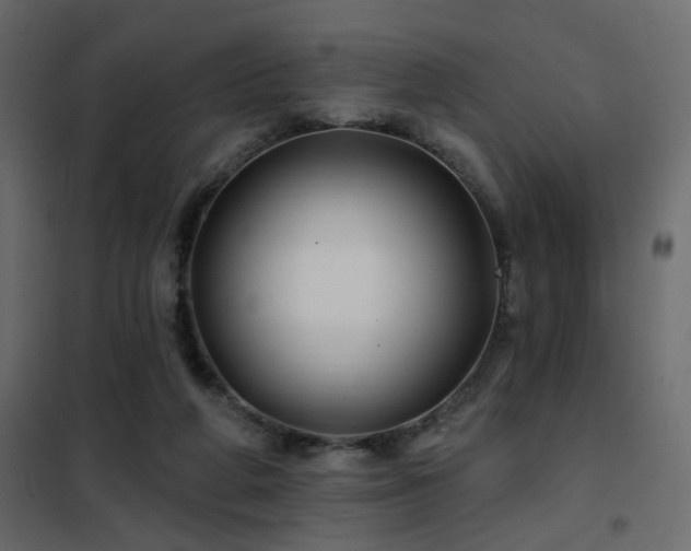X0000102490210200808081336