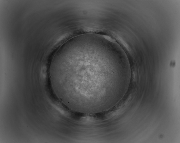 X0000102490211200808081336