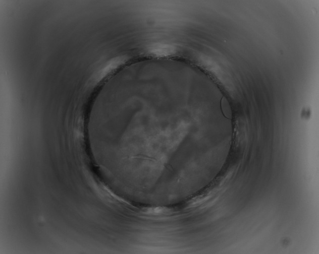 X0000102490212200808081336