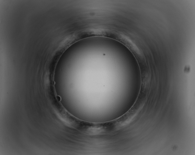 X0000102490213200808081336