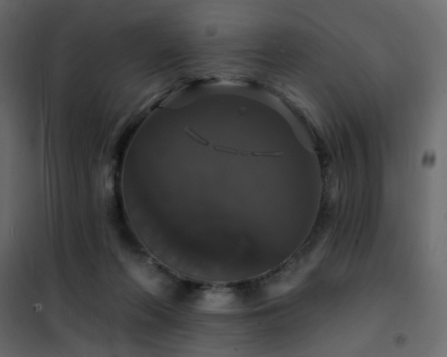 X0000102490214200808081336