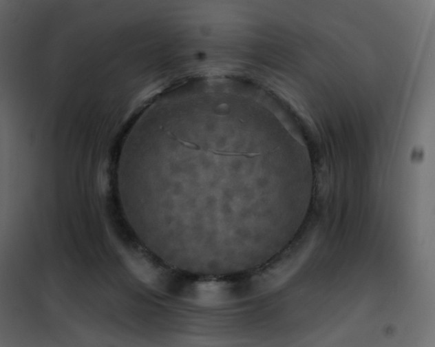 X0000102490216200808081336