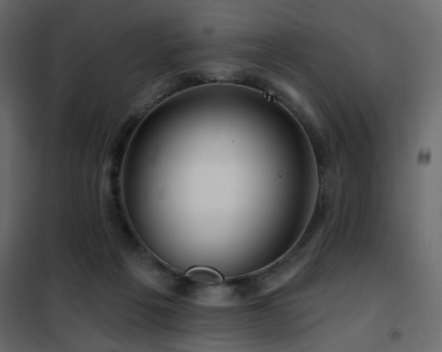 X0000102490217200808081336