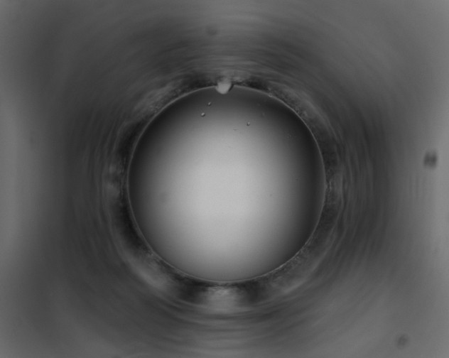X0000102490218200808081336