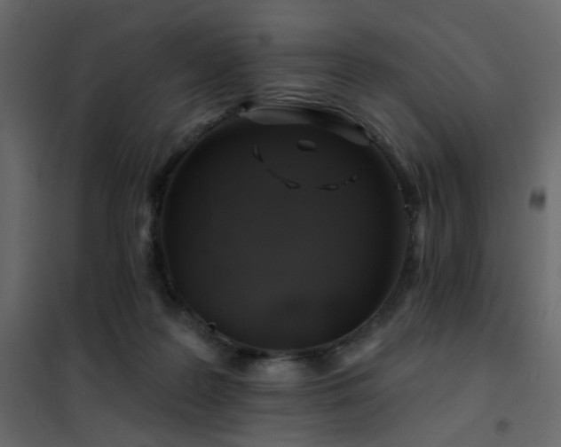 X0000102490219200808081336