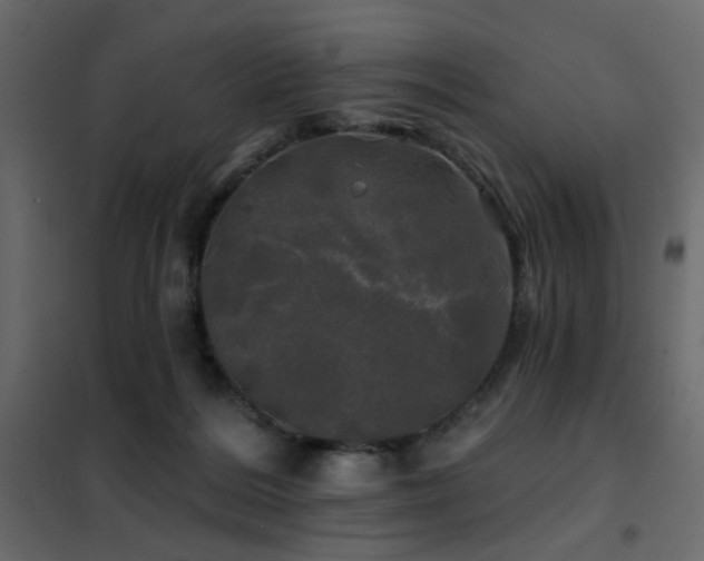 X0000102490220200808081336