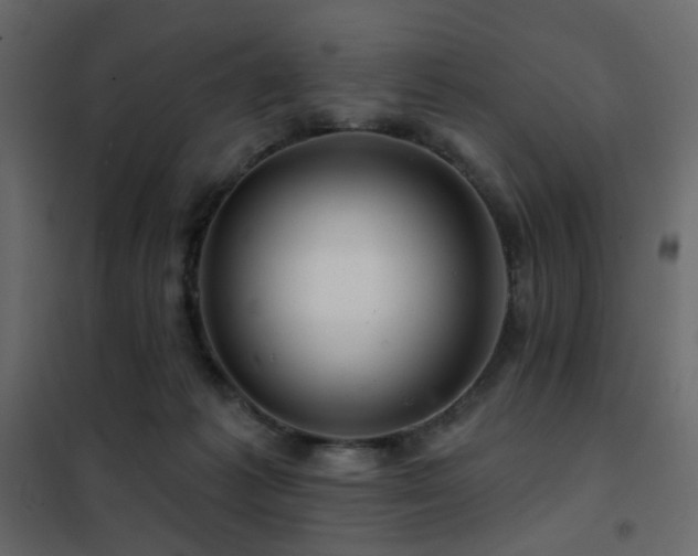 X0000102490221200808081336