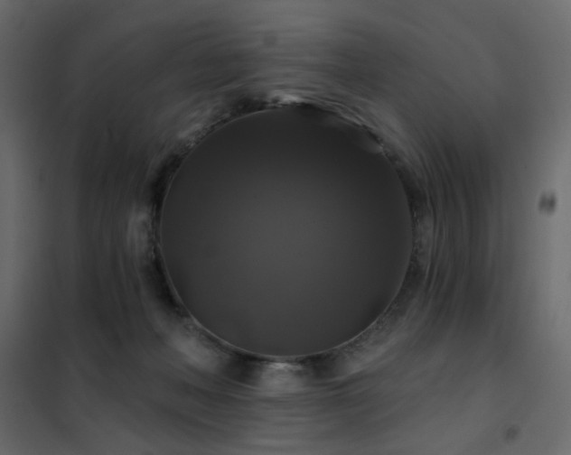 X0000102490222200808081336