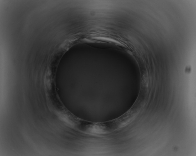 X0000102490223200808081336