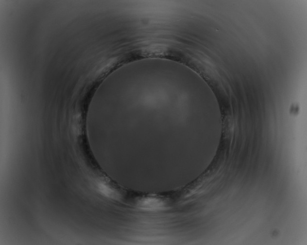 X0000102490224200808081336