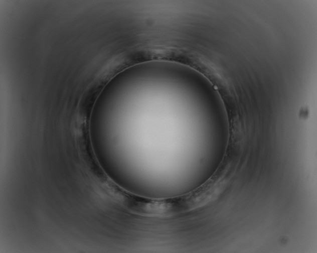 X0000102490225200808081336