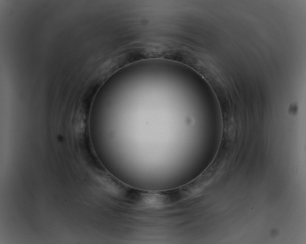 X0000102490226200808081336