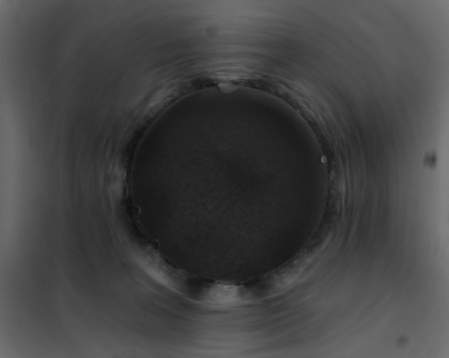 X0000102490227200808081336