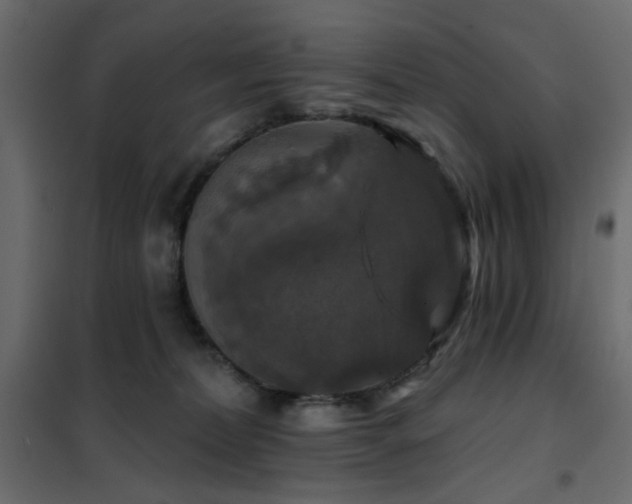 X0000102490228200808081336