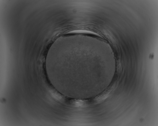 X0000102490229200808081336