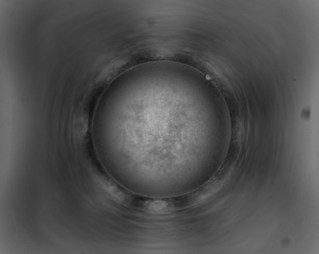 X0000102490230200808081336