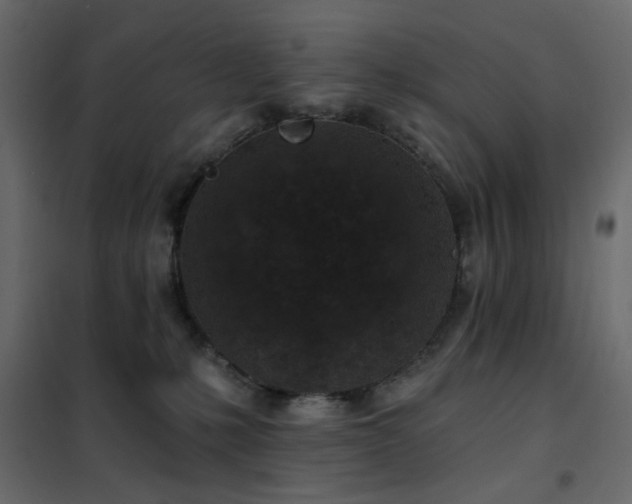 X0000102490231200808081336