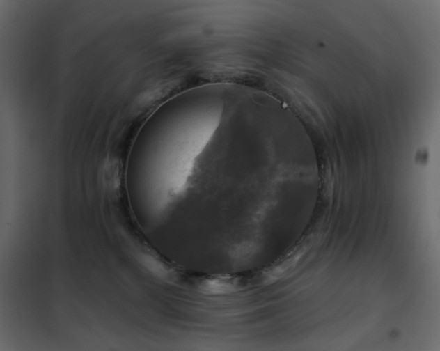 X0000102490232200808081336