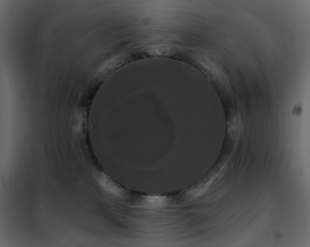 X0000102490233200808081336