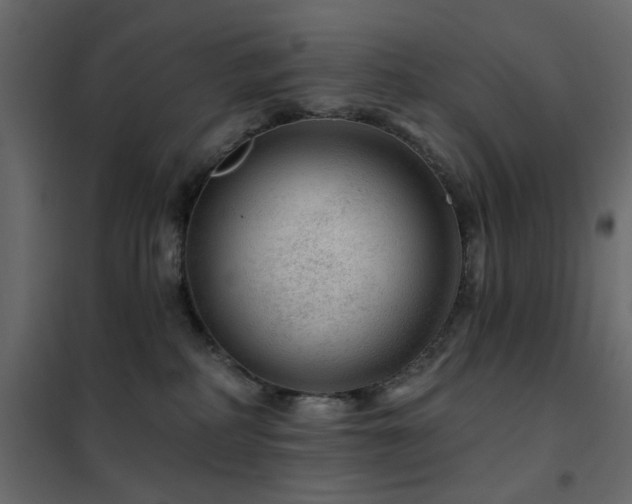 X0000102490234200808081336