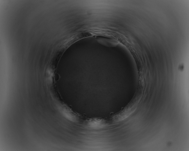 X0000102490235200808081336