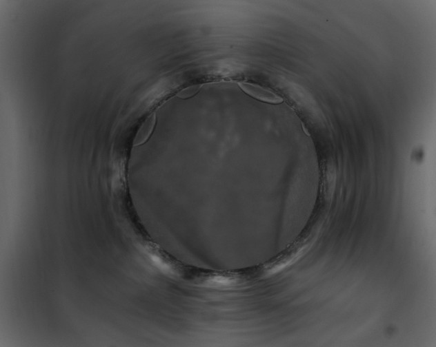 X0000102490236200808081336