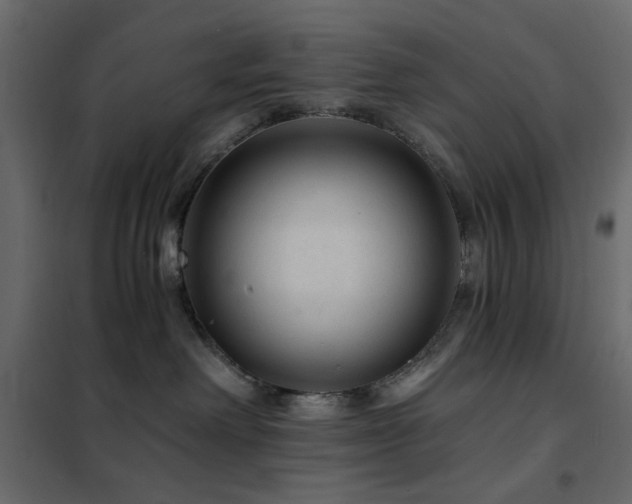 X0000102490238200808081336