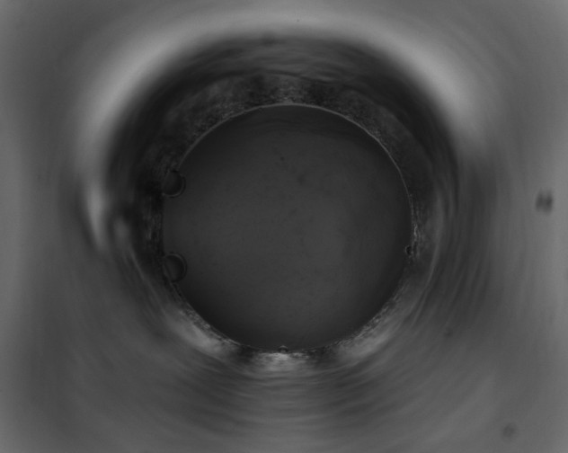 X0000102490239200808081336