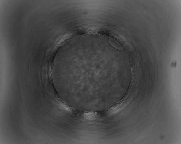X0000102490240200808081336
