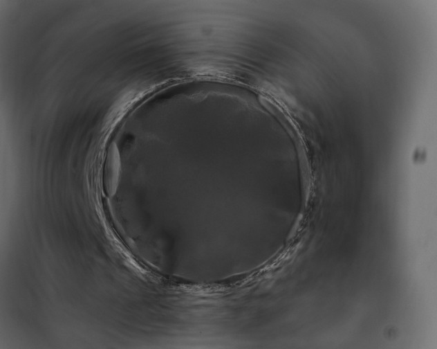 X0000102490241200808081335