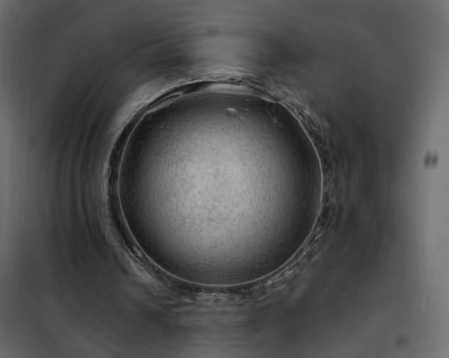 X0000102490242200808081335