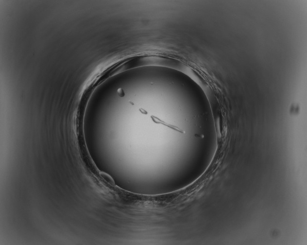X0000102490244200808081335