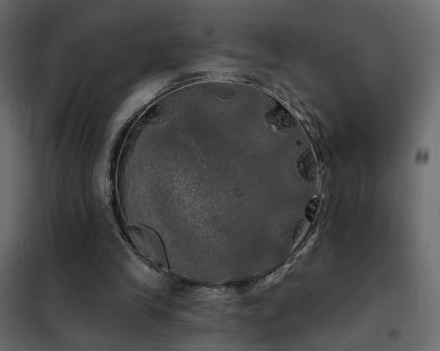 X0000102490245200808081335