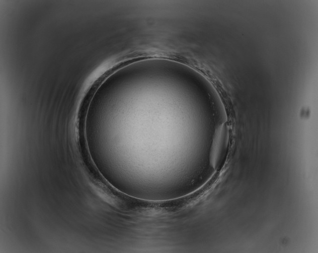 X0000102490246200808081335
