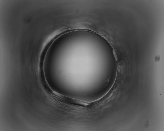 X0000102490248200808081335