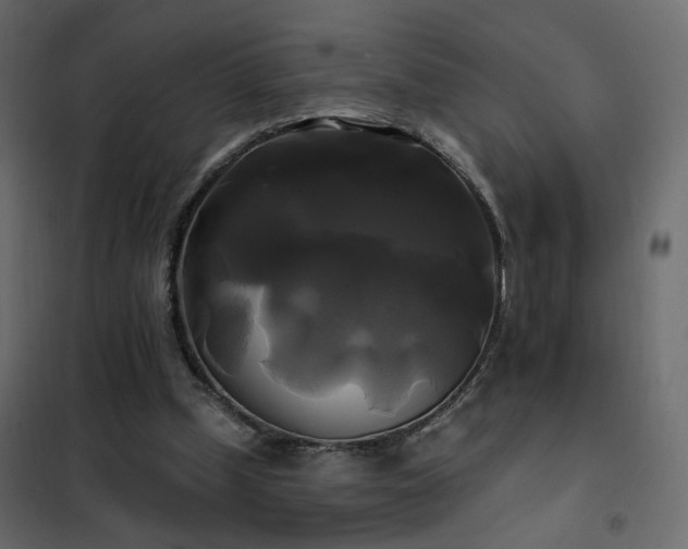 X0000102490249200808081335