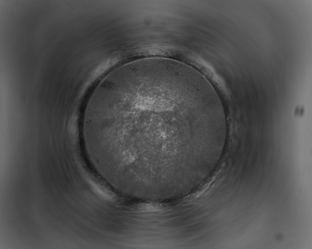 X0000102490250200808081335
