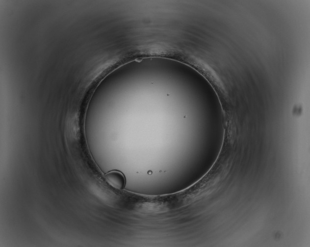 X0000102490251200808081335